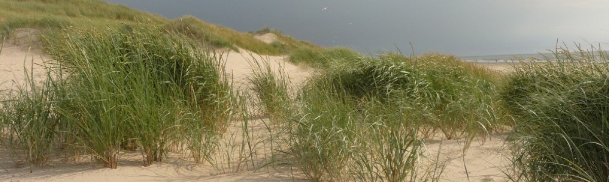 Sonne, Meer und ..